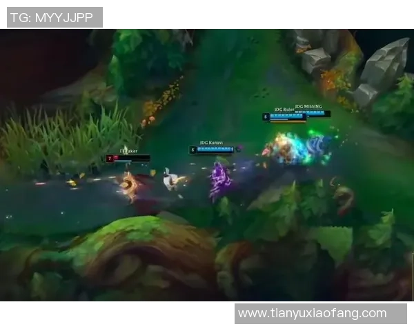 英雄联盟灵活性排名新变化FPX表现突出引发关注与讨论